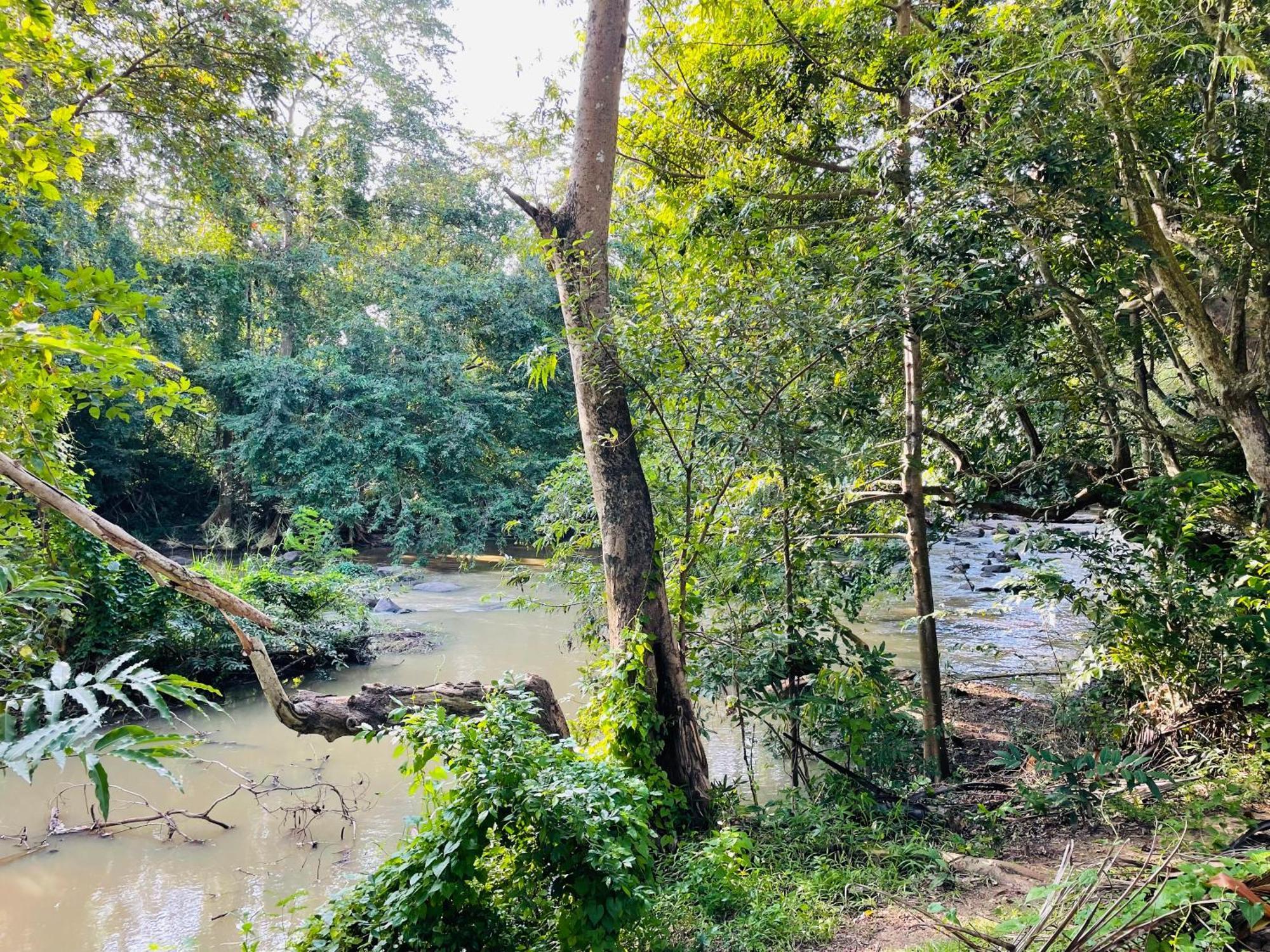 Yala Safari River View Hotel Tissamaharama Kültér fotó