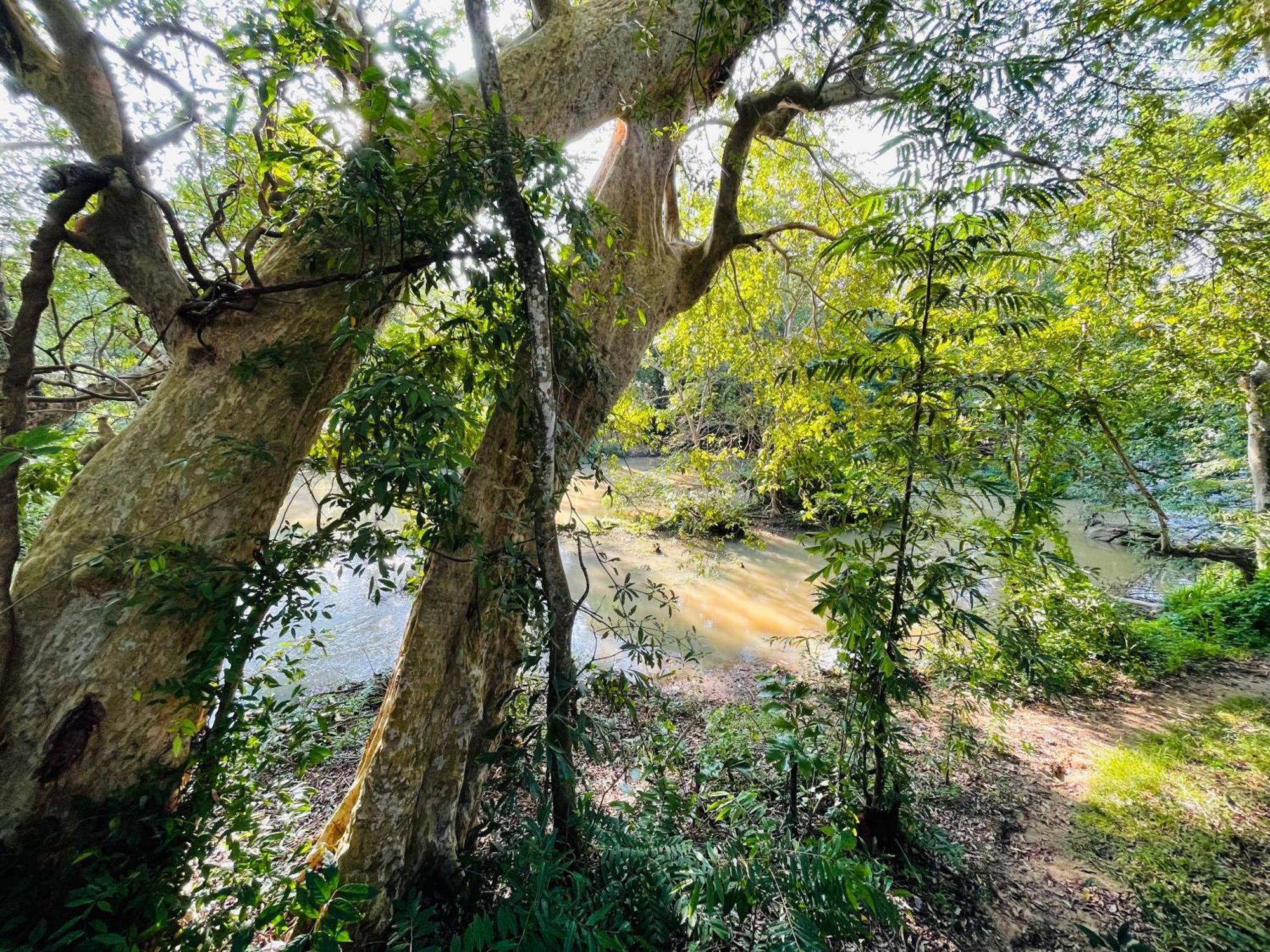 Yala Safari River View Hotel Tissamaharama Kültér fotó